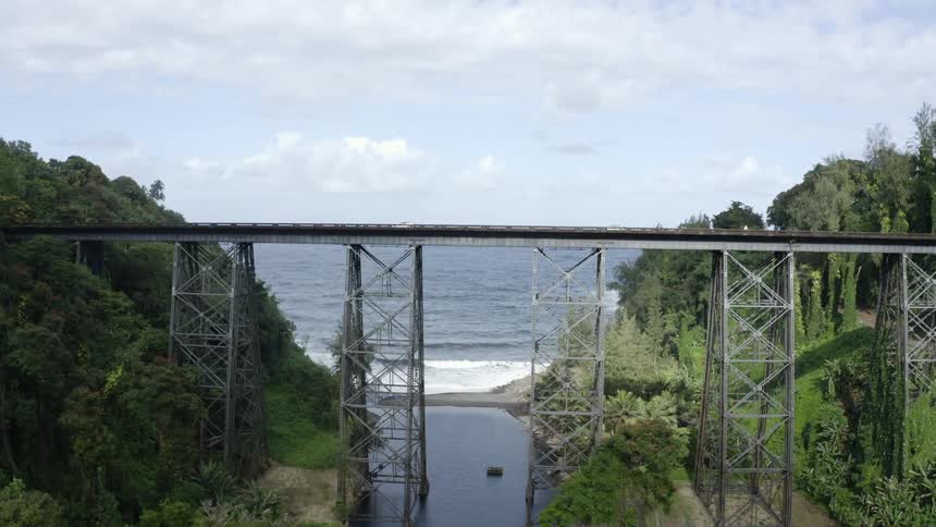 Vehicles travel a tall bridge over an oceanside river