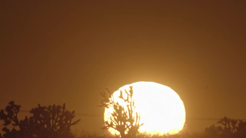 The sun rising above the horizon at dawn