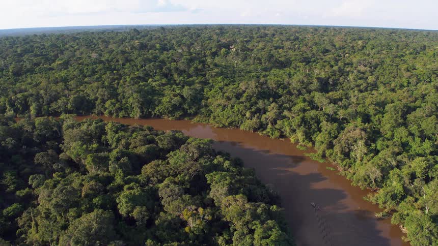 A river in the middle of the jungle with trees with the sky and clouds in the background