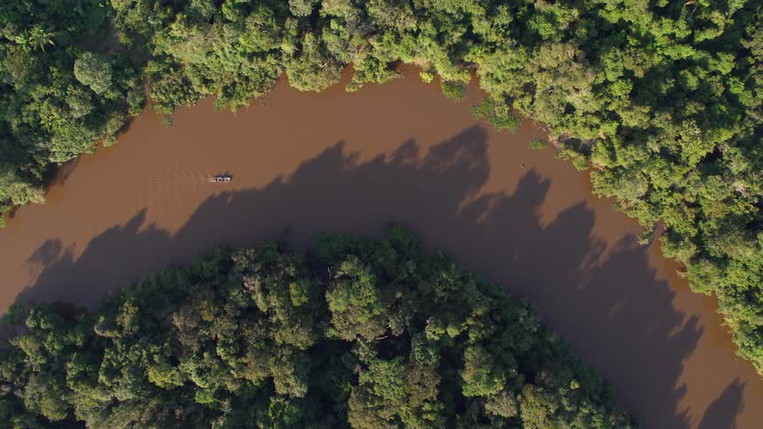 An aerial view of a boat floating down a tree lined river