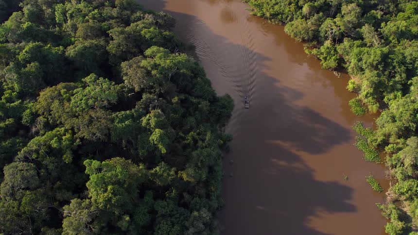 A boat drives down a muddy river going through a thick forest at day
