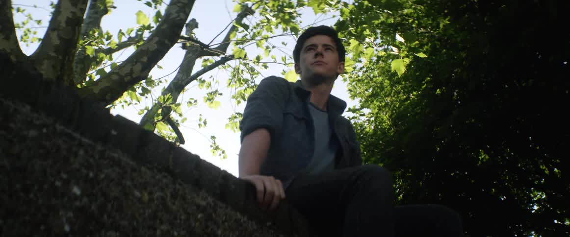 Man sits on top of tall wall under trees looking around
