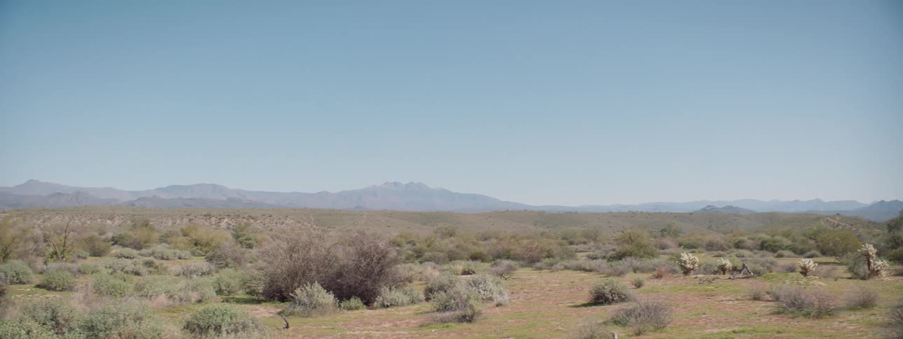 A landscape with shrubs and grass with mountains the sky and clouds in the background