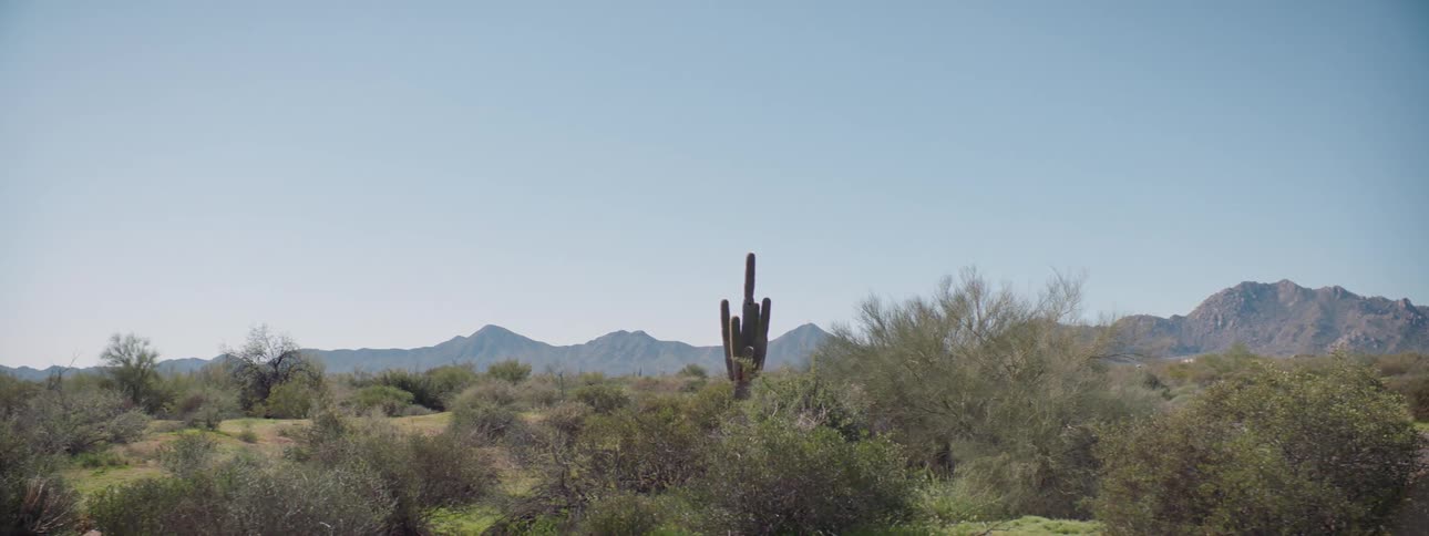 A desert with shrubs plants and cactus with mountains and the sky in the background