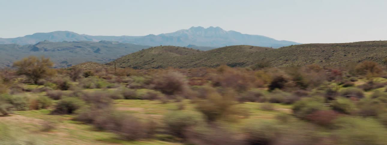 Land with plants grass and trees with hills mountains and the sky in the background