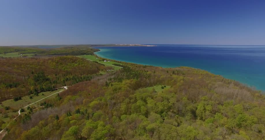 Water next to a forest on a bright, clear day