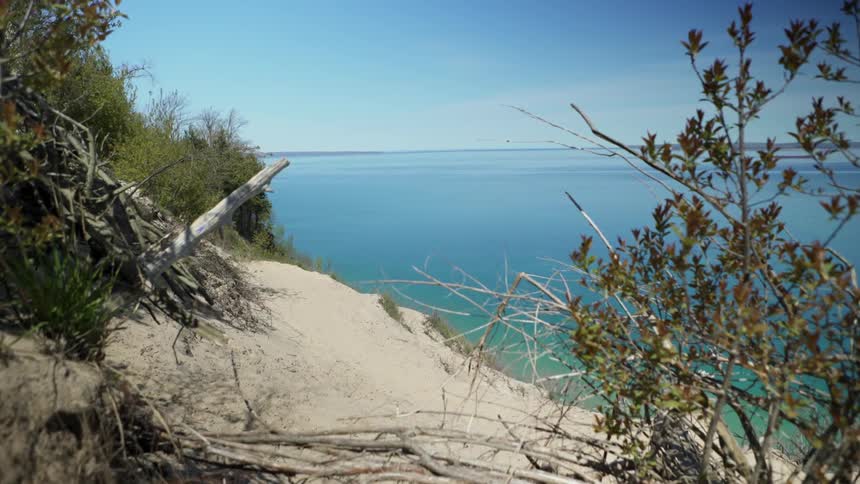 Some bushes and sand are near the shore of a body of water