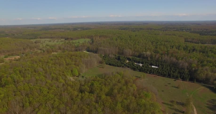 Aerial view of trees in a remote area