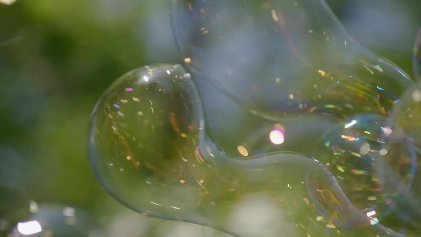 Bubbles floating in the wind with trees the sky and clouds in the background