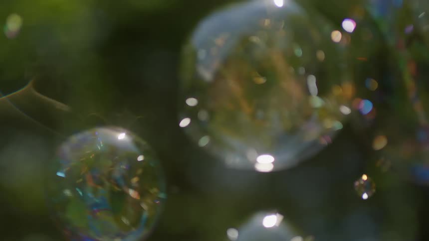 Bubbles shimmering outdoors in a park like setting