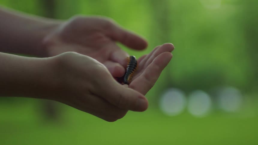 A person with a caterpillar climbing across their hands
