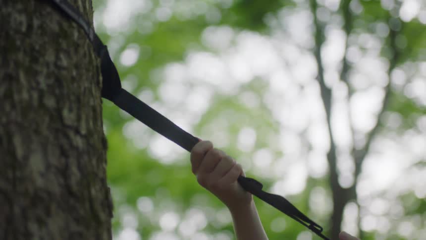 A teenage girl tightens up a belt on a tree to climb it
