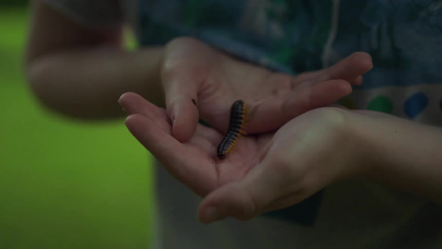 A young boy holds a slug in his hands as the insect crawls in his palms