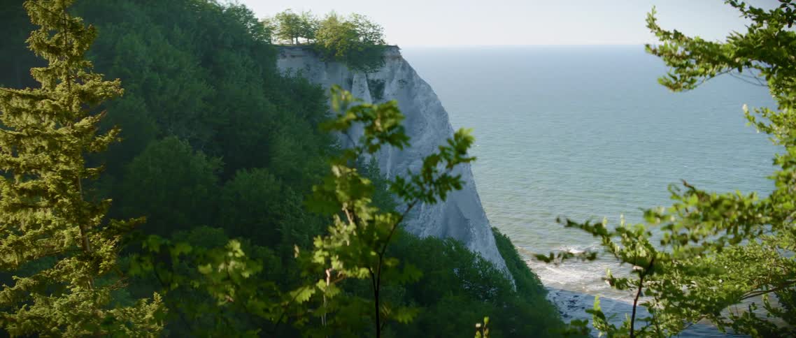 Trees blowing in the breeze above the water meeting a cliff
