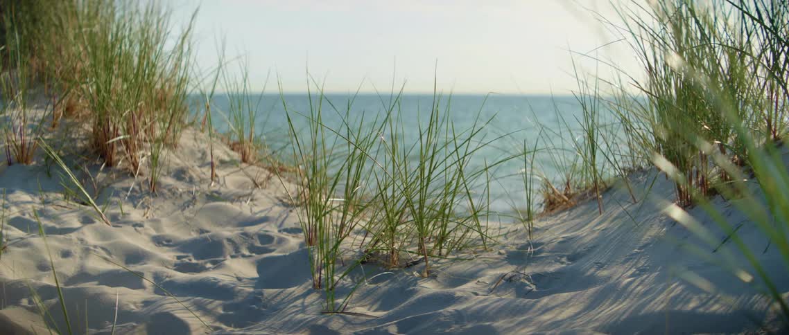 Grass on beach waves in wind while waves ripple across sea from the horizon