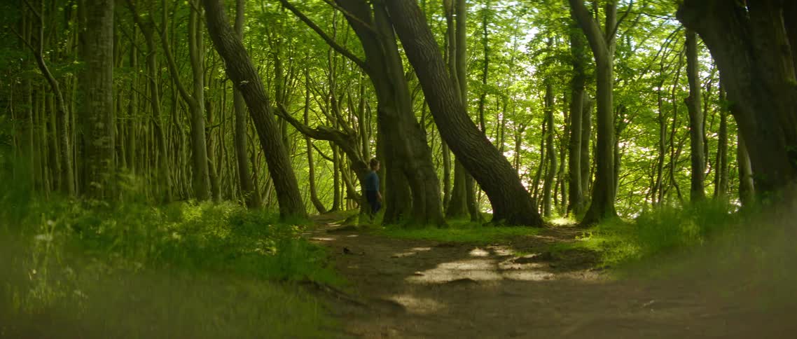 A person walking through a forest