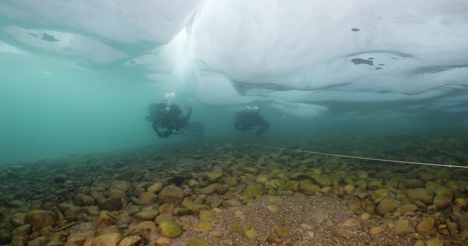 Scuba divers are traveling under the ice