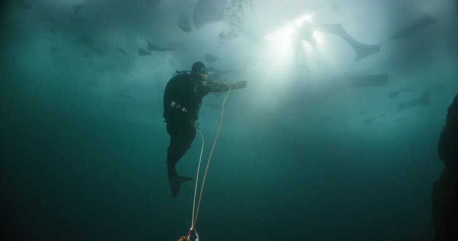 Scuba diver holds a rope while under the water