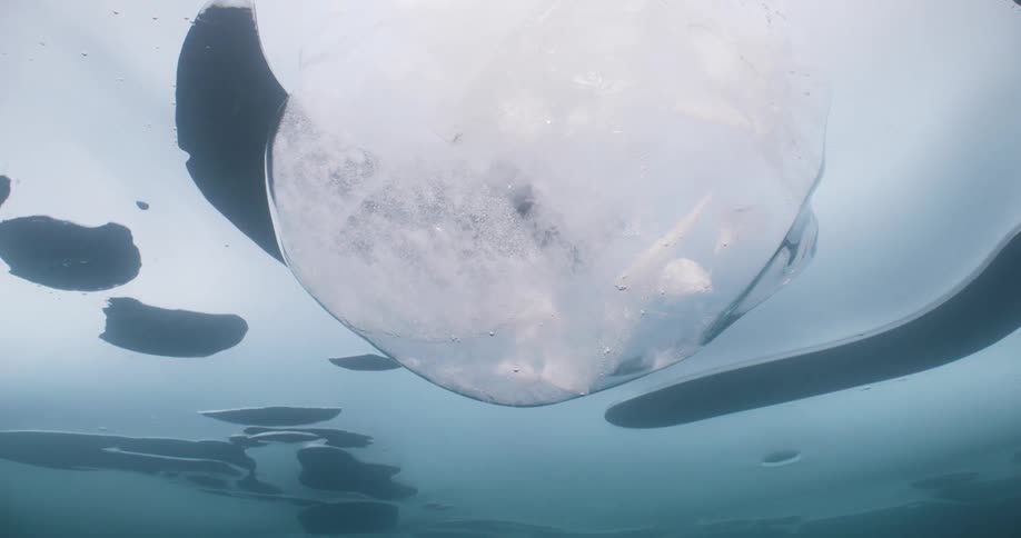 Underwater footage of air bubbles floating under the ice in the surface of the ocean
