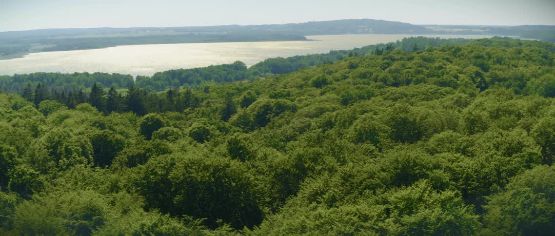 Landscape view of a lake and forest