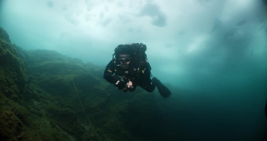 A diver is near the bottom of the water