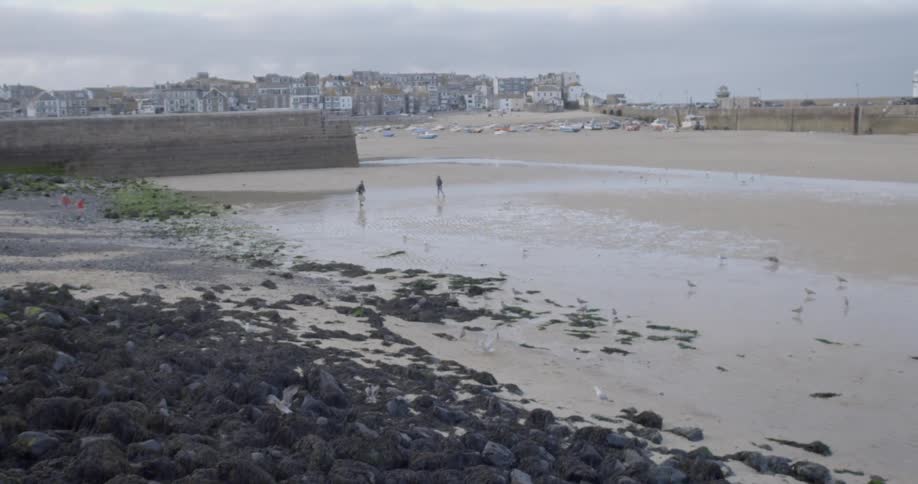 Birds and people on a beach at low tide