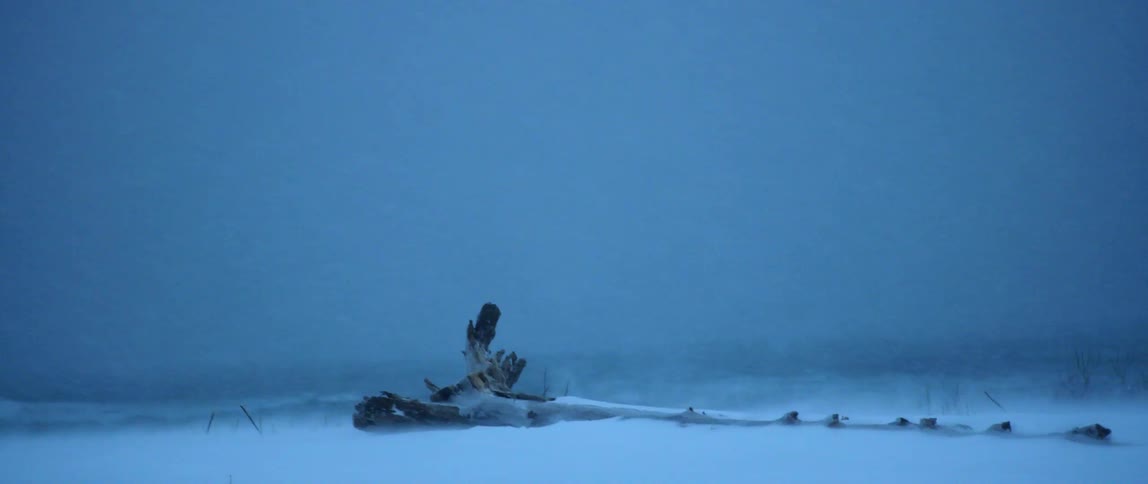 A powerful winter storm blows heavy wind and snow along the North Atlantic coast