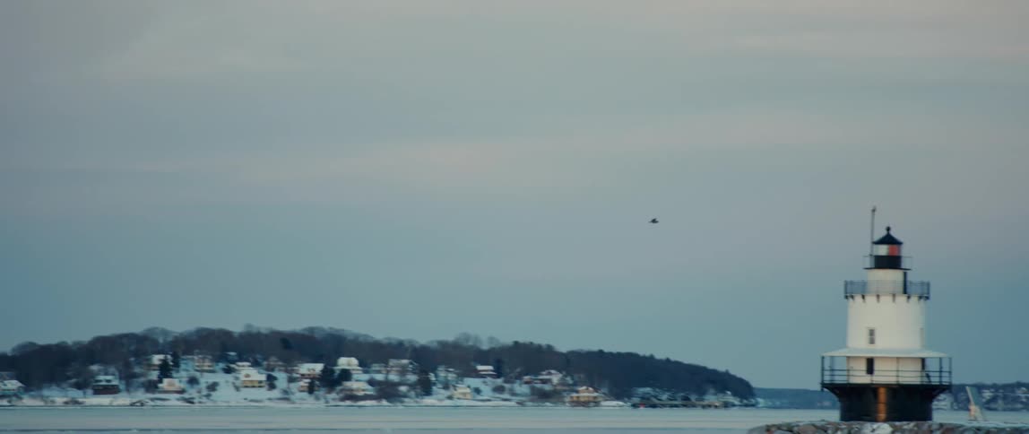 A bird flies past Spring Point Ledge Lighthouse in Portland Maine