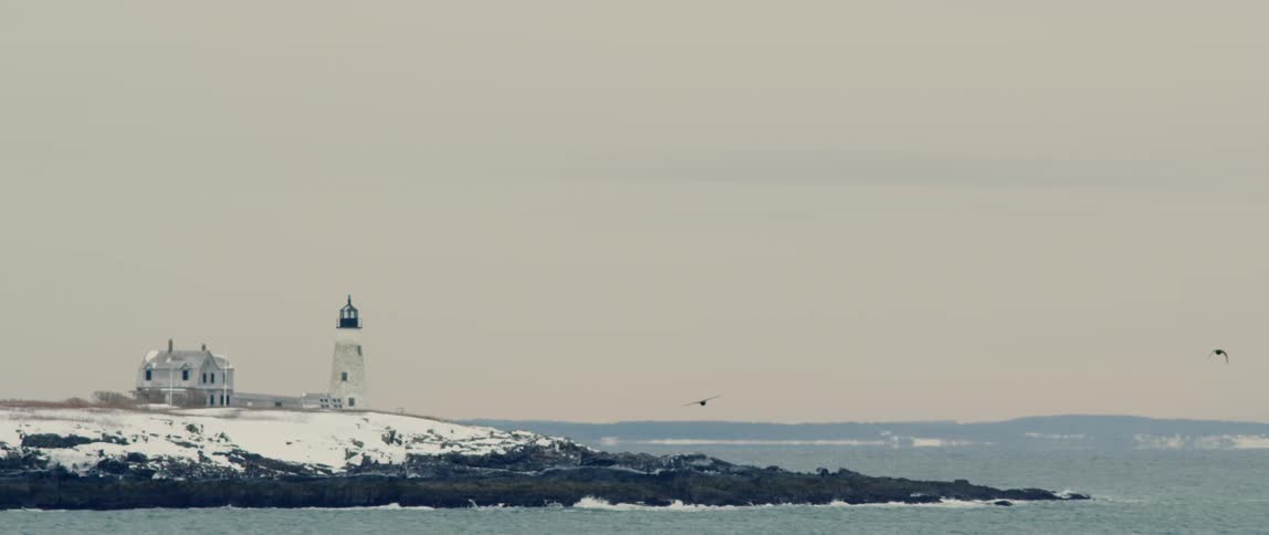 Birds flies from a wintery lighthouse in Maine