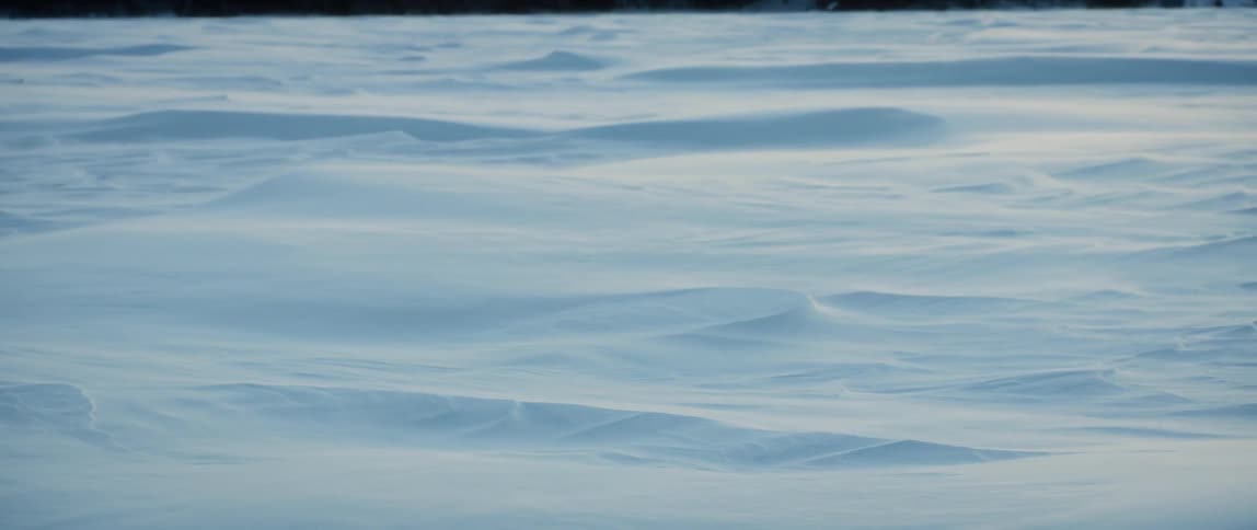 The frozen landscape is swept by the winter wind