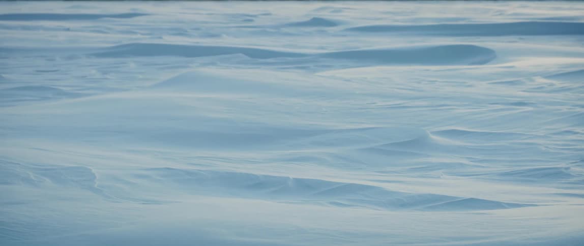 The soft winter sun gives contrast to a vast frozen terrain