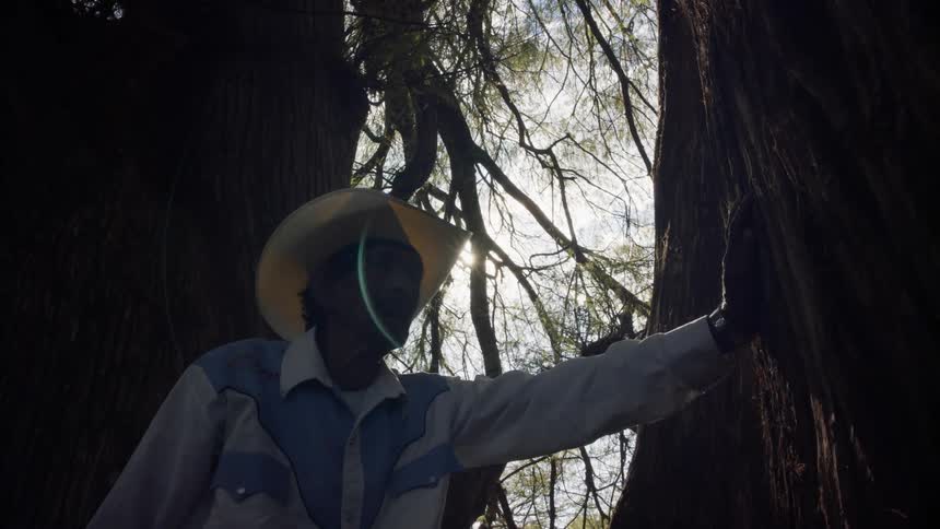 A man is standing outdoors next to a tree