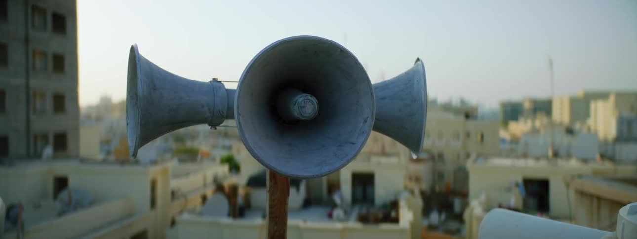 Sirens on top of a pole on the rooftop of a house in a small city