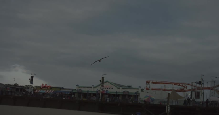 A bird flies high over the shore at sunset