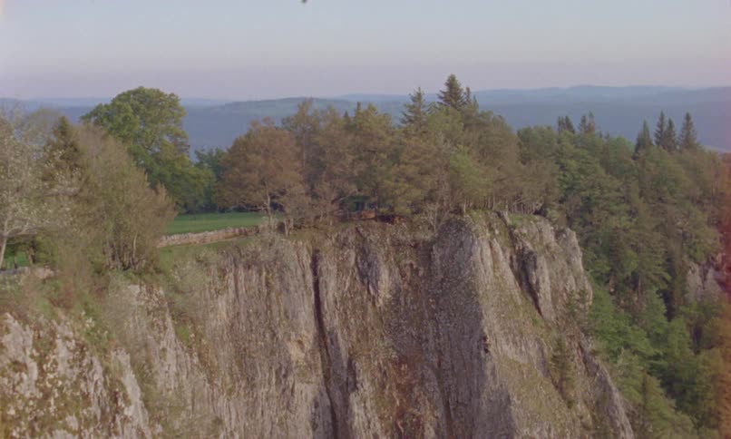 A sheer mountain cliff surrounded by forest