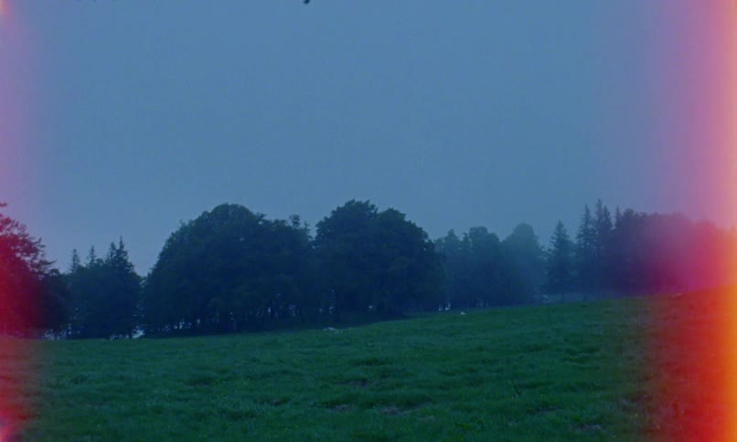 Large trees are past the green field