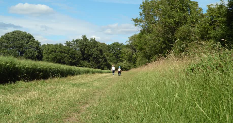 Two people walk and run in a grassy field on a summer day
