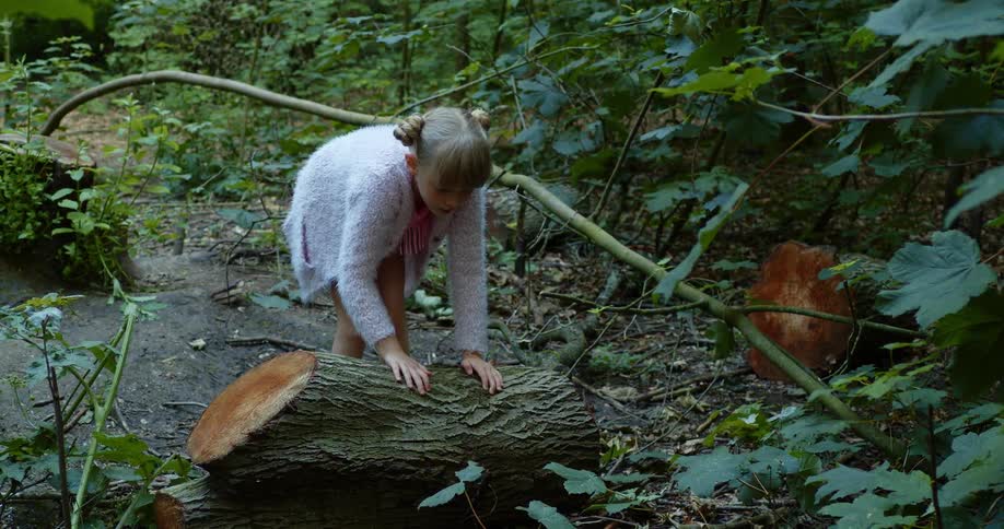 A little girl tries to roll a tree stump in a forest