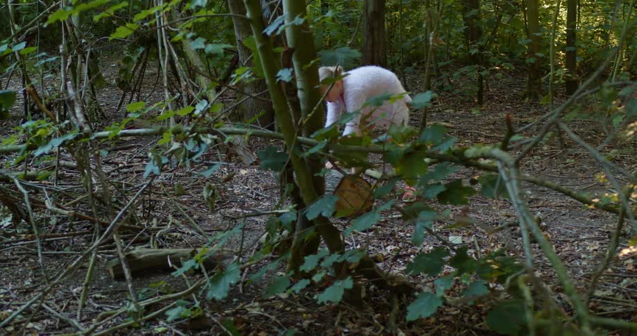 Young girl in a forest rolls a log towards herself