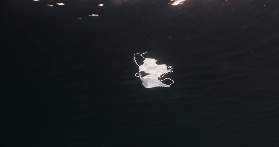 A disposable mask floating in water with sunlight above the rippling water
