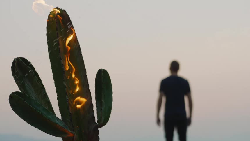 A cactus on fire with water splashing on it with a person the sky and clouds in the background