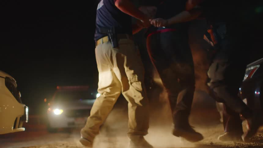 Police are arresting a man and pushing him towards a police car