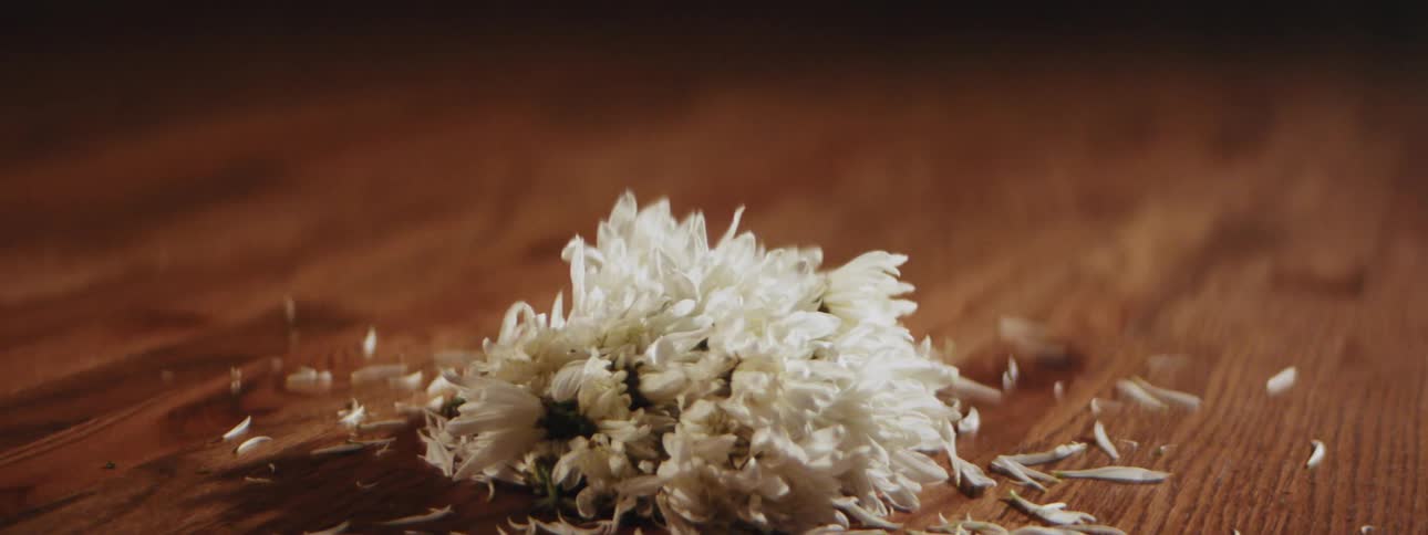 A close up of debris on hardwood floor is displayed