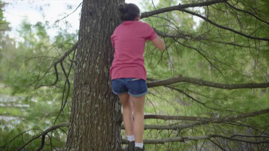 Girl with a pink t shirt and shorts takes off her bag and climbs a tree in the forest