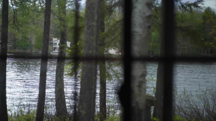Rippling water and house on opposite shore show through wide grill