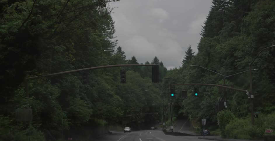 A vehicle approaches a traffic light while going down a mountain road