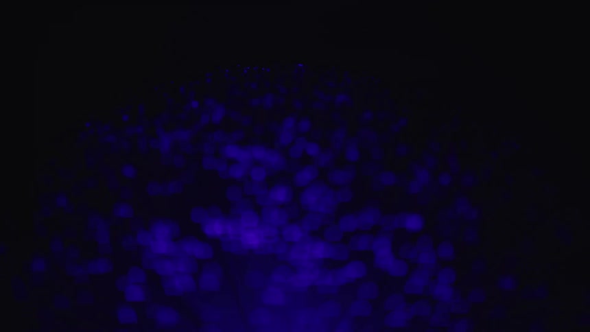Green blue purple and red colors that look like decorative lights
