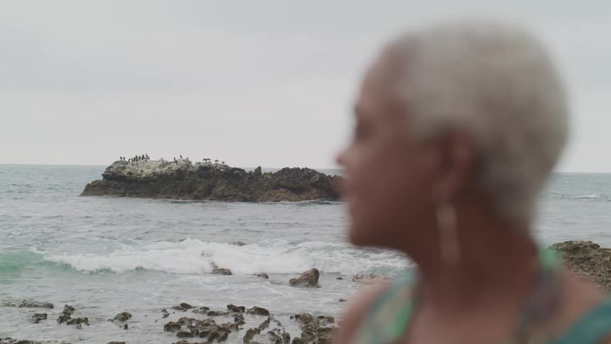 A woman is standing by the coast of a beach