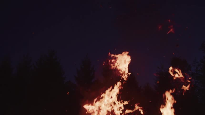 Roaring fire releases sparks into air in forest at night