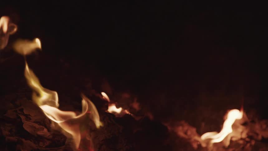 Logs are burning in a bonfire